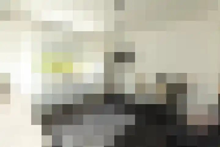 Van Kretschmar van Veenlaan 50 Hilversum thumbnail 21