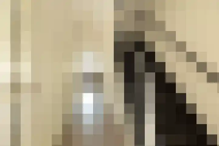 Van Kretschmar van Veenlaan 50 Hilversum thumbnail 6