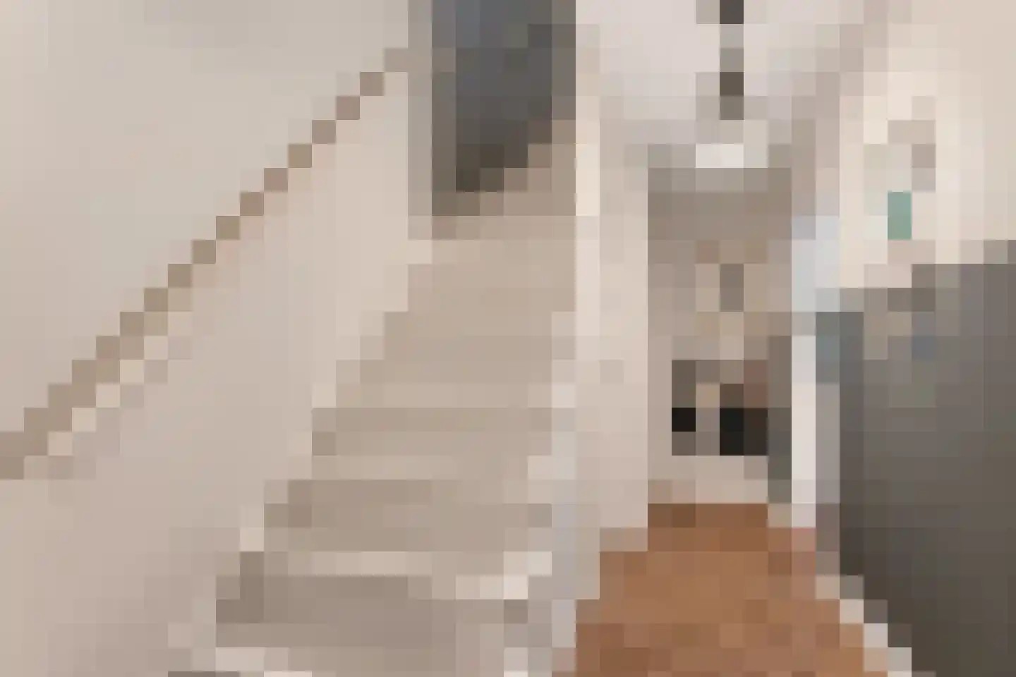 Van Kretschmar van Veenlaan 58 Hilversum thumbnail 11