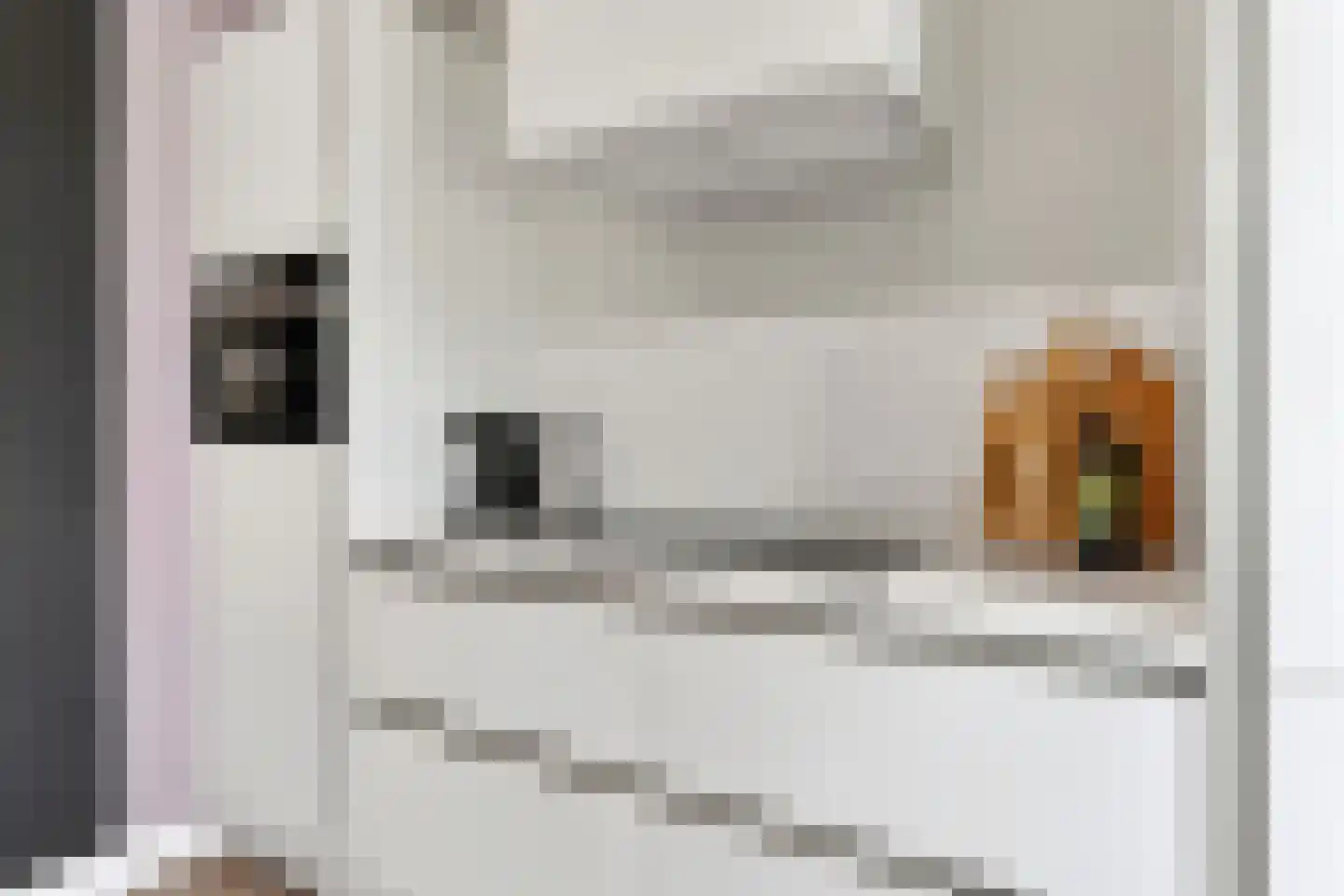 Van Kretschmar van Veenlaan 58 Hilversum thumbnail 21