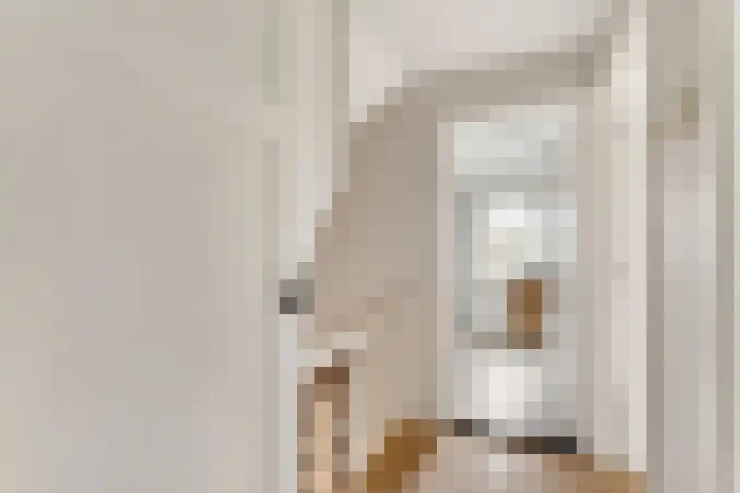 Van Kretschmar van Veenlaan 58 Hilversum thumbnail 24