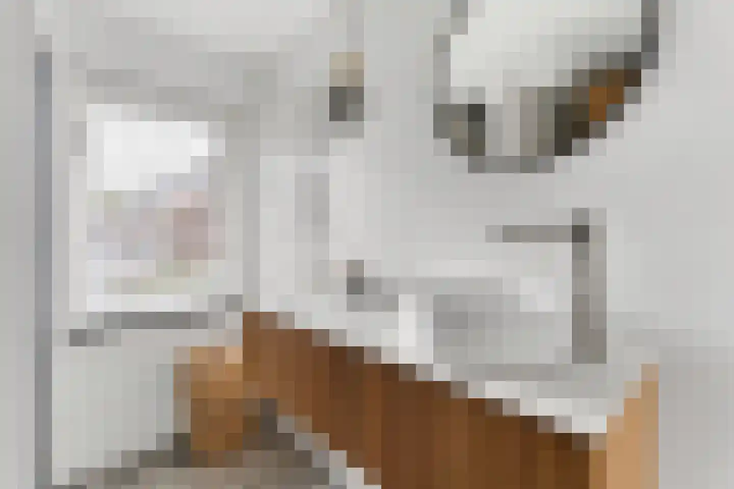 Van Kretschmar van Veenlaan 58 Hilversum thumbnail 31