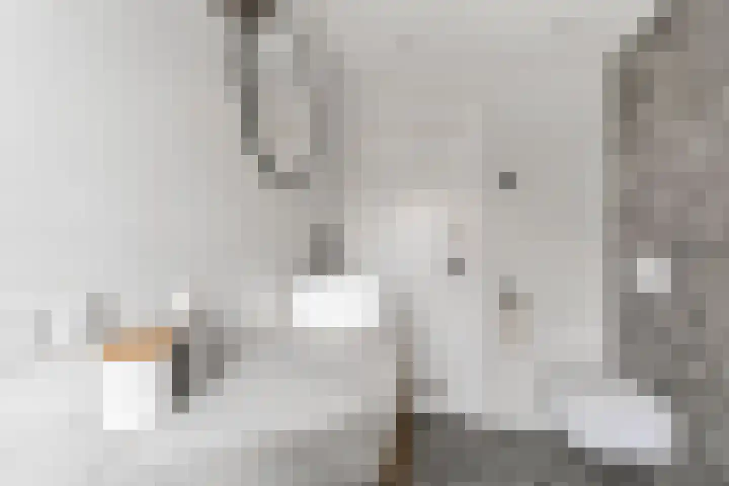 Van Kretschmar van Veenlaan 58 Hilversum thumbnail 32