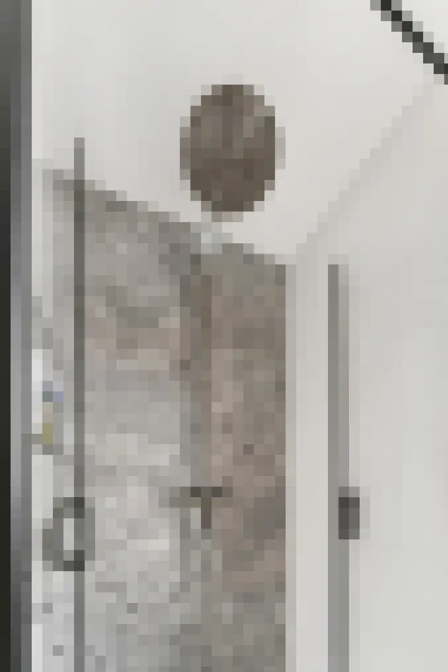 Van Kretschmar van Veenlaan 58 Hilversum thumbnail 33