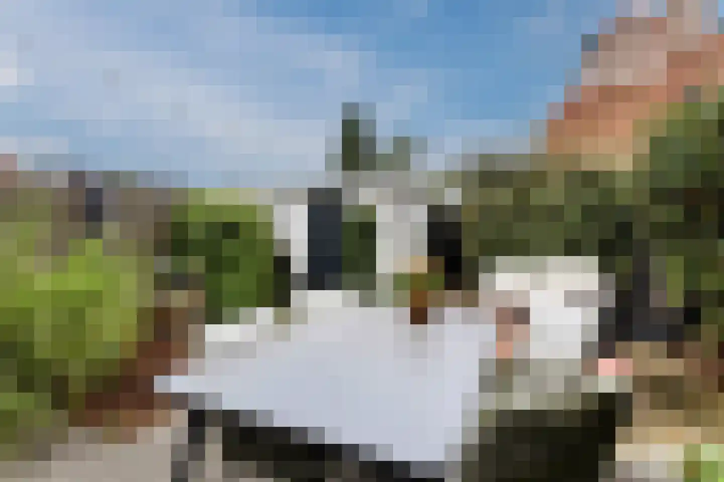 Van Kretschmar van Veenlaan 58 Hilversum thumbnail 42