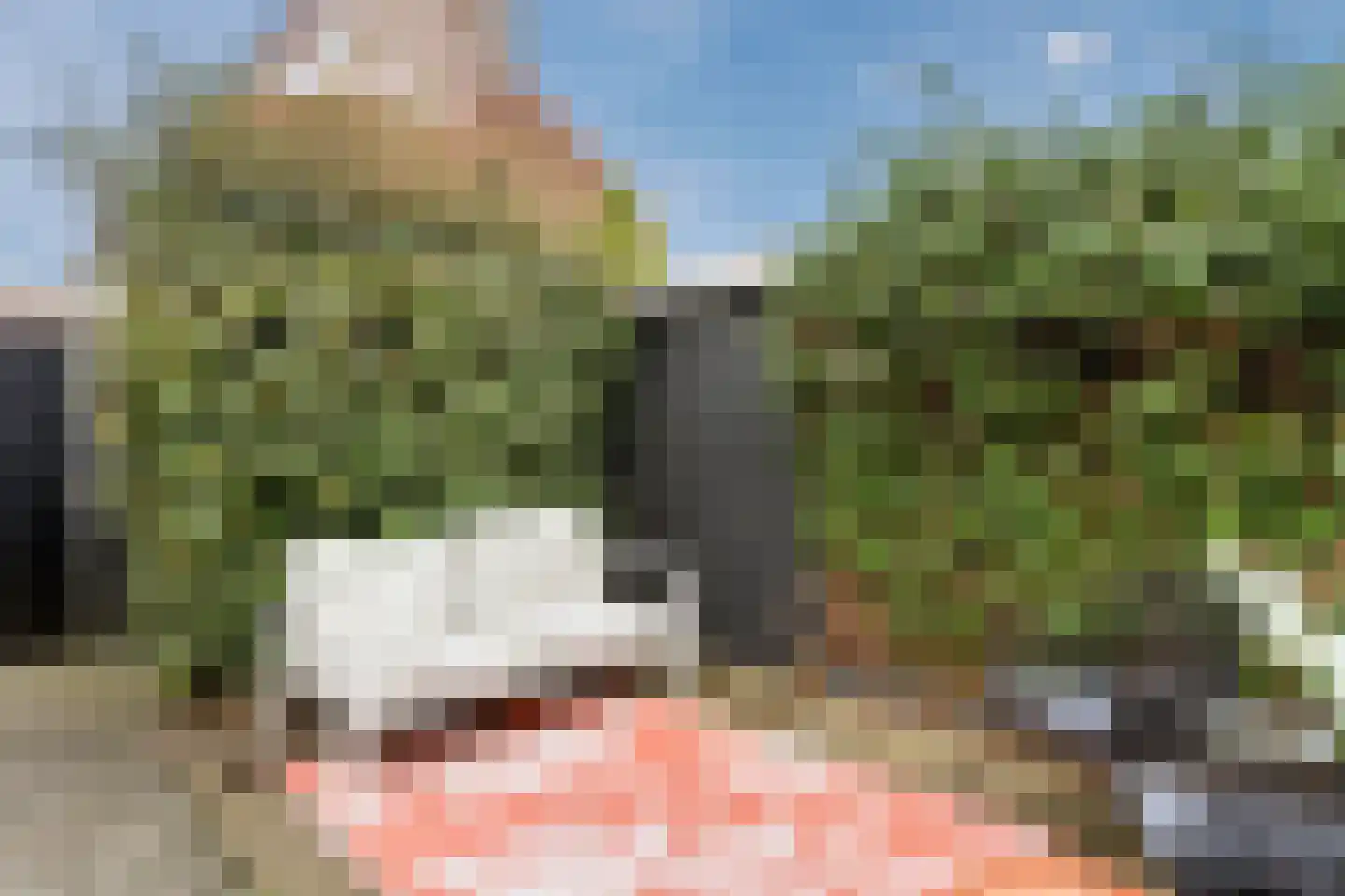 Van Kretschmar van Veenlaan 58 Hilversum thumbnail 43