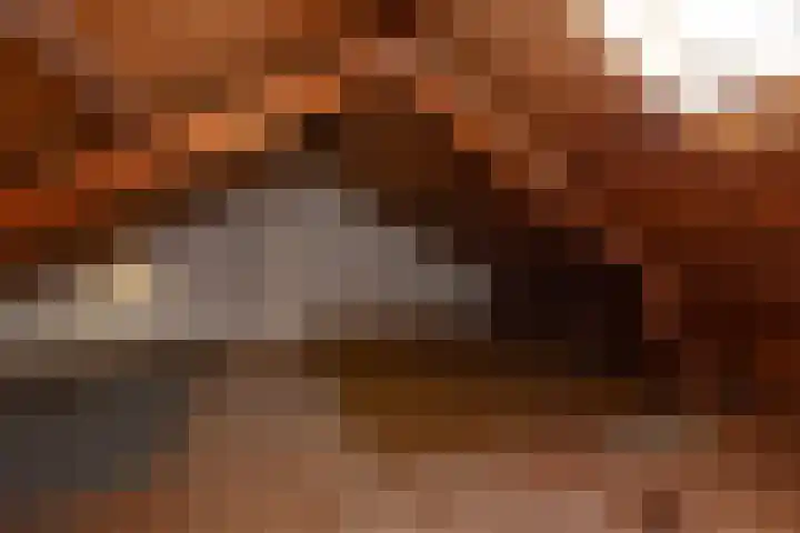 Van Kretschmar van Veenlaan 89 Hilversum thumbnail 18
