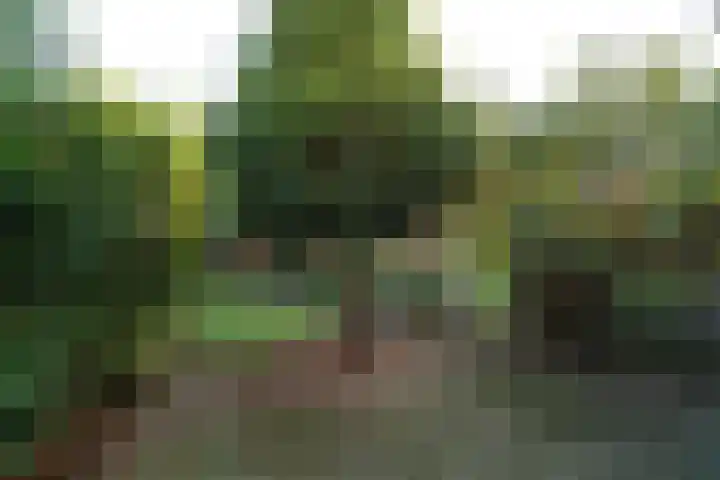 Van Kretschmar van Veenlaan 89 Hilversum thumbnail 20
