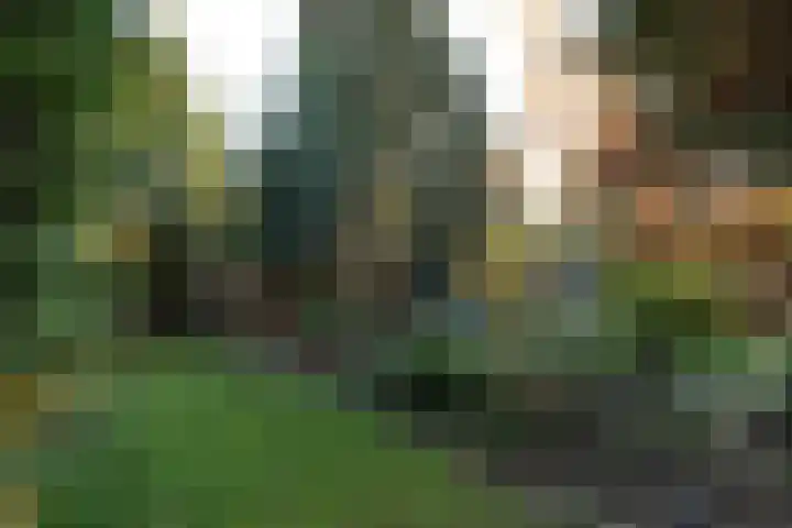 Van Kretschmar van Veenlaan 89 Hilversum thumbnail 21