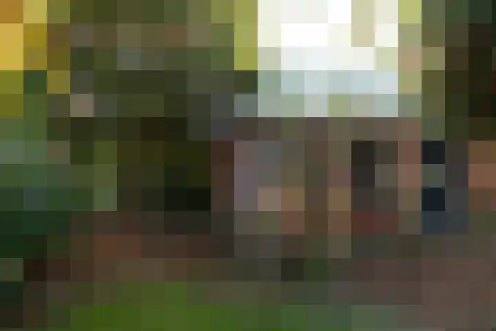 Van Kretschmar van Veenlaan 89 Hilversum thumbnail 22