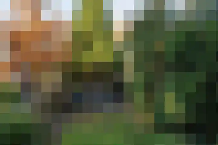 Van Kretschmar van Veenlaan 89 Hilversum thumbnail 23