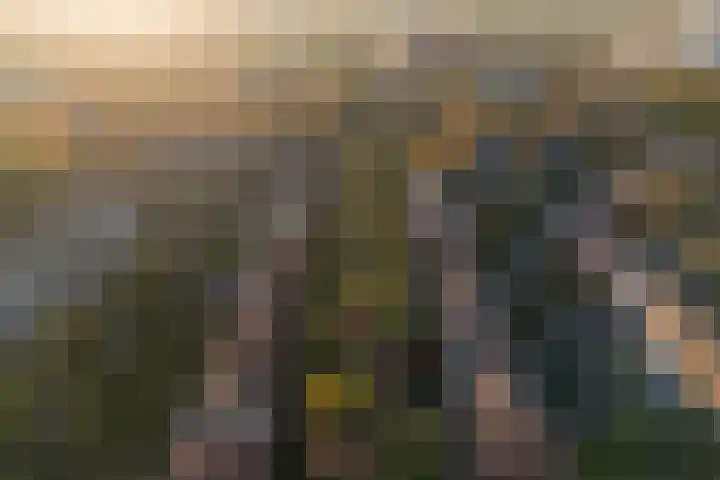 Van Kretschmar van Veenlaan 89 Hilversum thumbnail 29