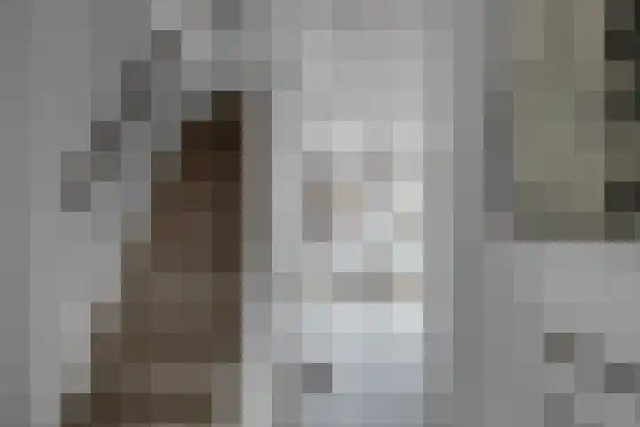 Van Kronenburgvliet 15 Barendrecht thumbnail 10