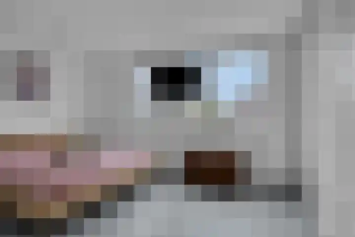 Van Kronenburgvliet 15 Barendrecht thumbnail 25