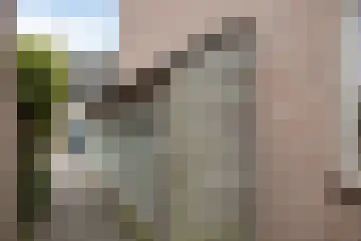 Van Kronenburgvliet 15 Barendrecht thumbnail 31