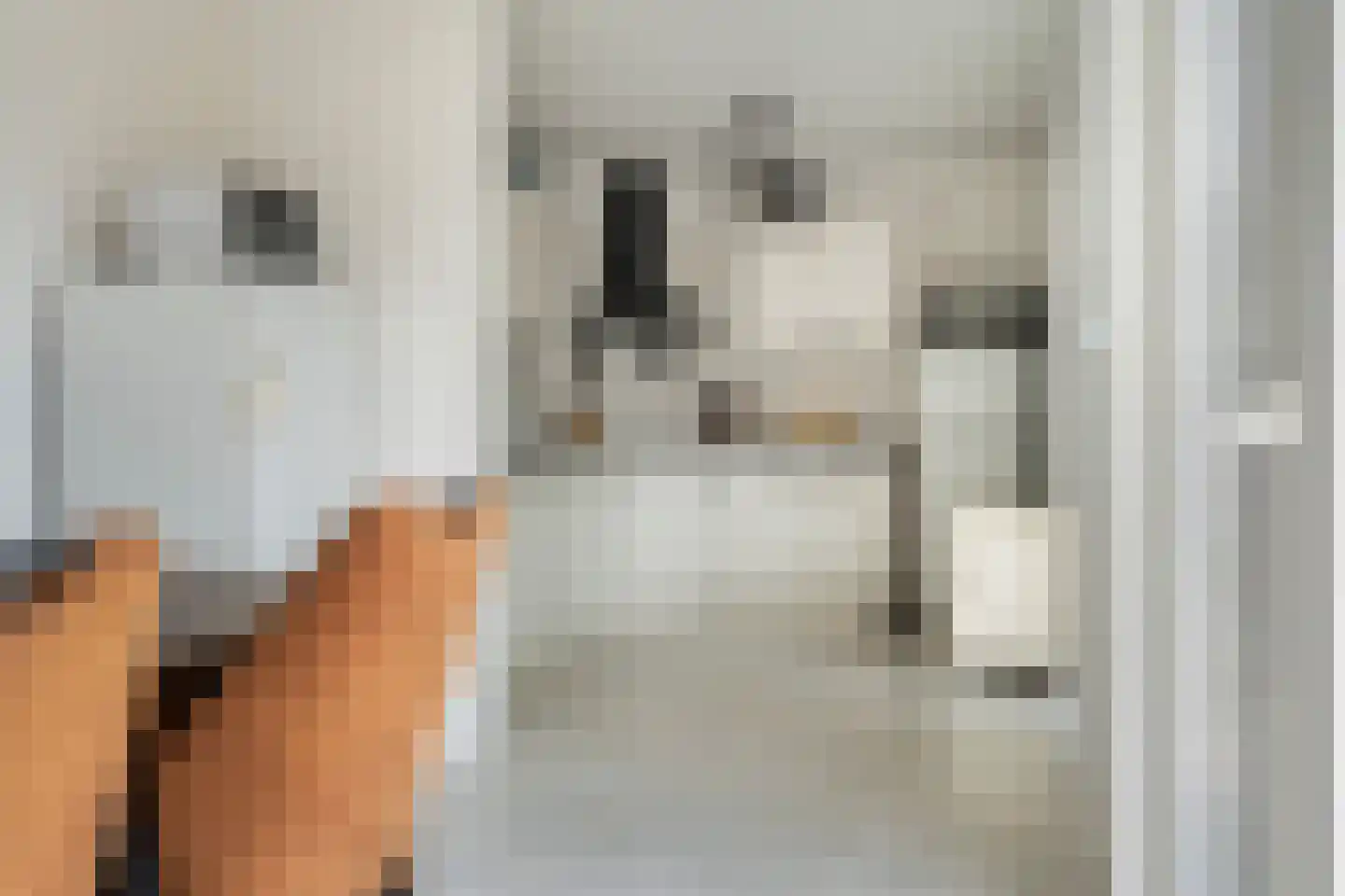 van Kuijkstraat 21 Coevorden thumbnail 12
