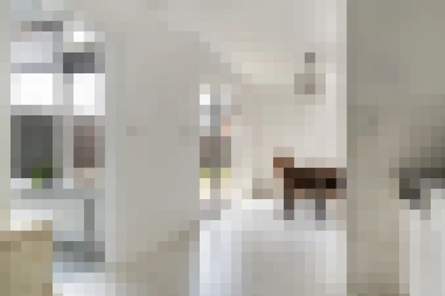 van Kuijkstraat 21 Coevorden thumbnail 13