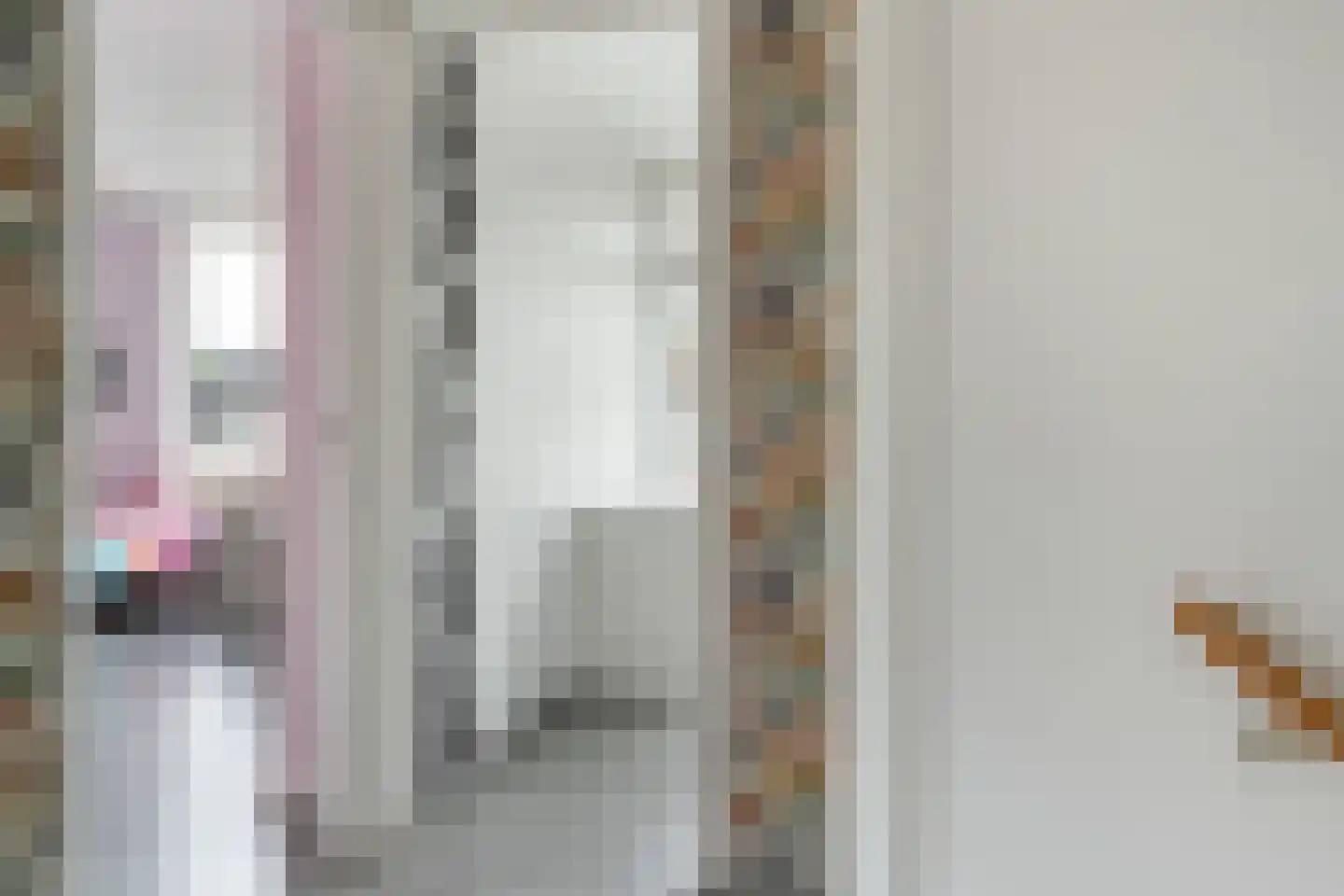 van Kuijkstraat 21 Coevorden thumbnail 17