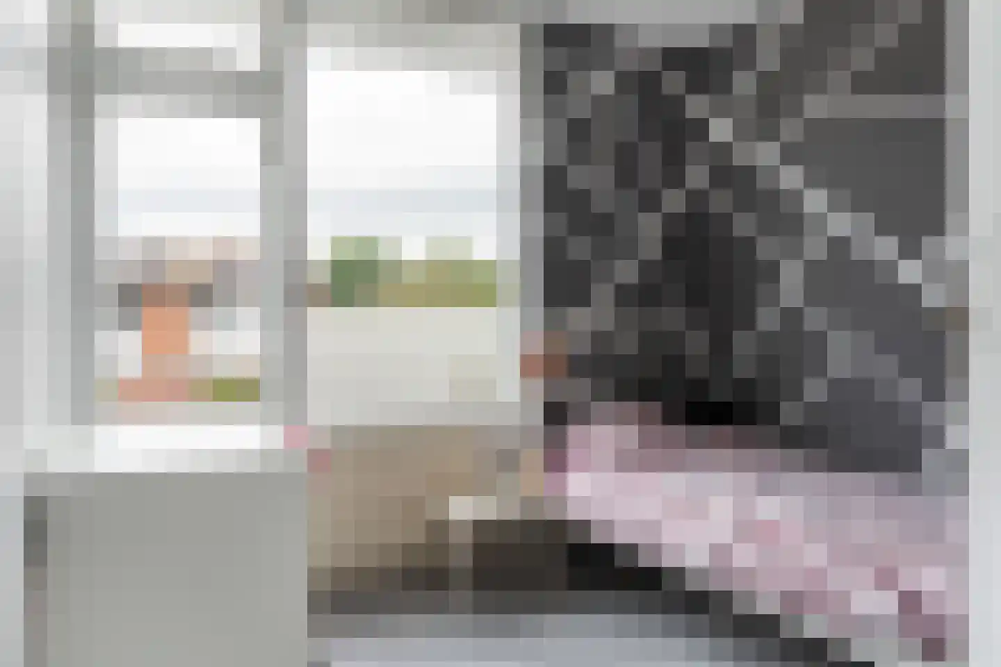 van Kuijkstraat 21 Coevorden thumbnail 22