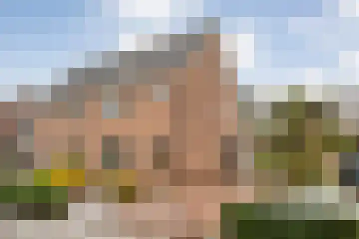 Van Laakstraat 12 Olst thumbnail 40