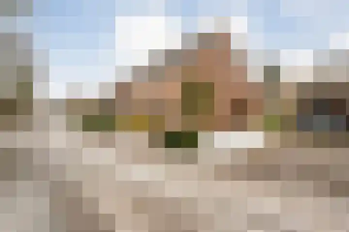 Van Laakstraat 12 Olst thumbnail 41