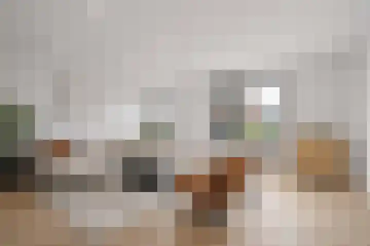 Van Laakstraat 12 Olst thumbnail 9