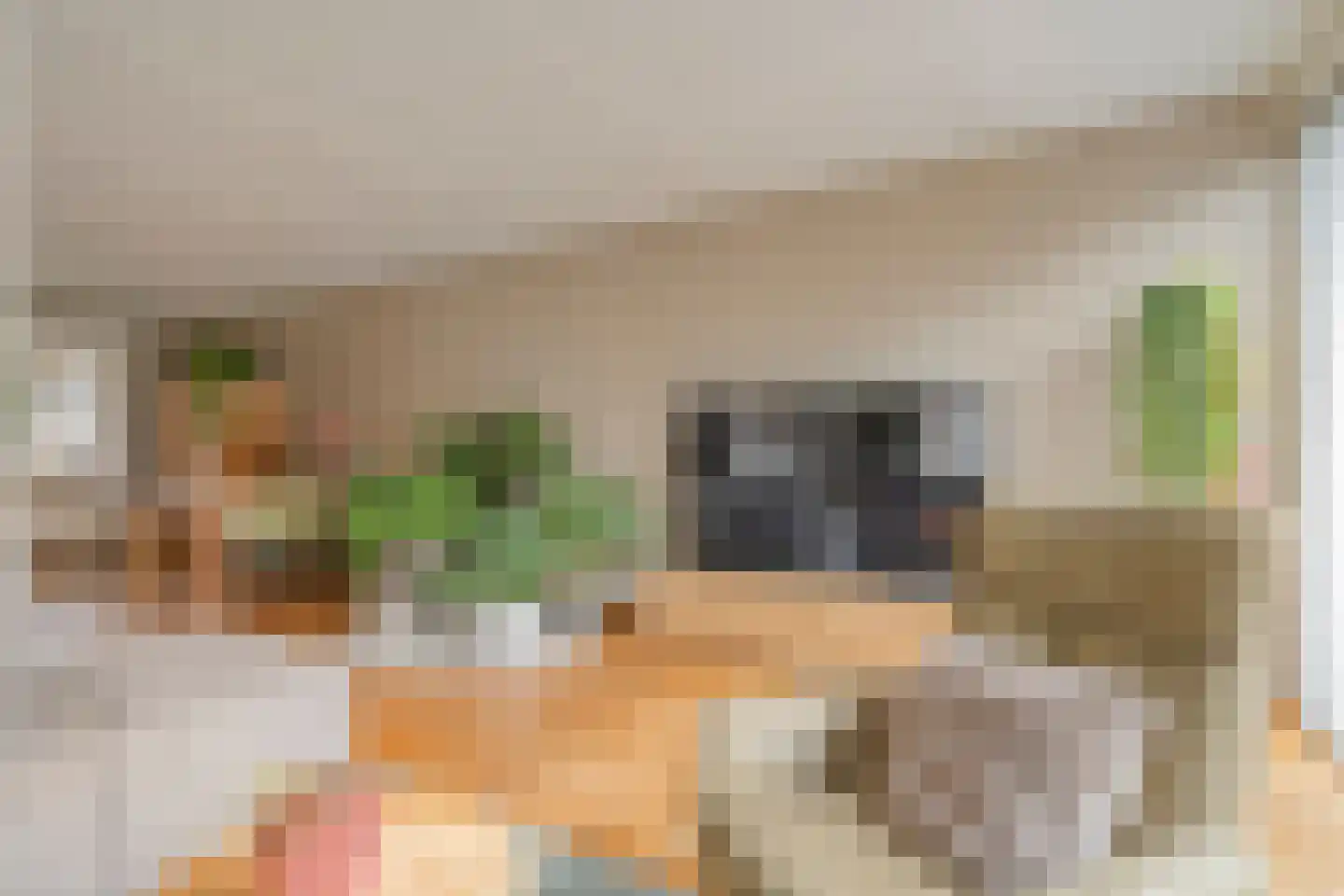 Van Laakstraat 23 Olst thumbnail 10