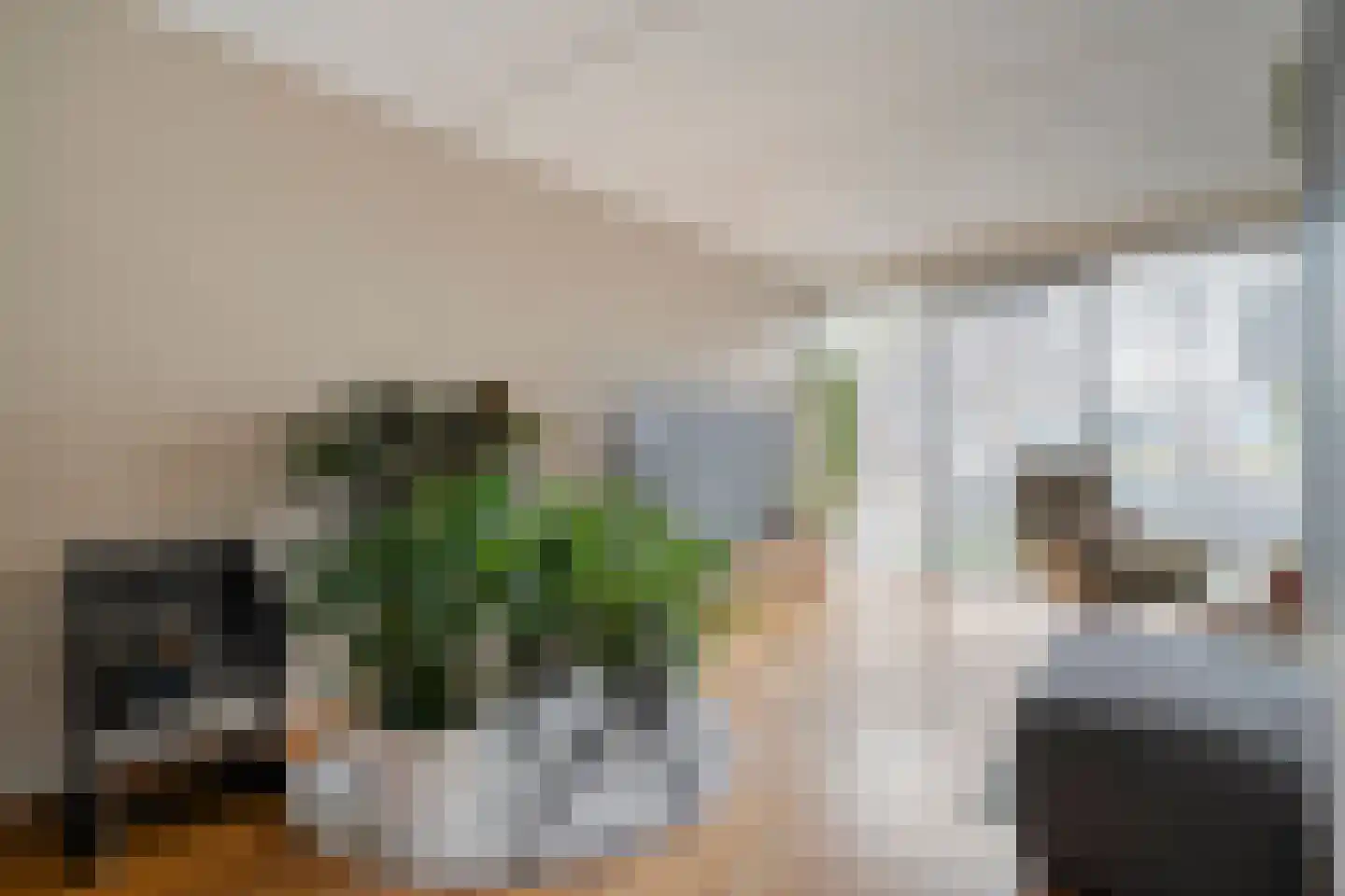 Van Laakstraat 23 Olst thumbnail 11