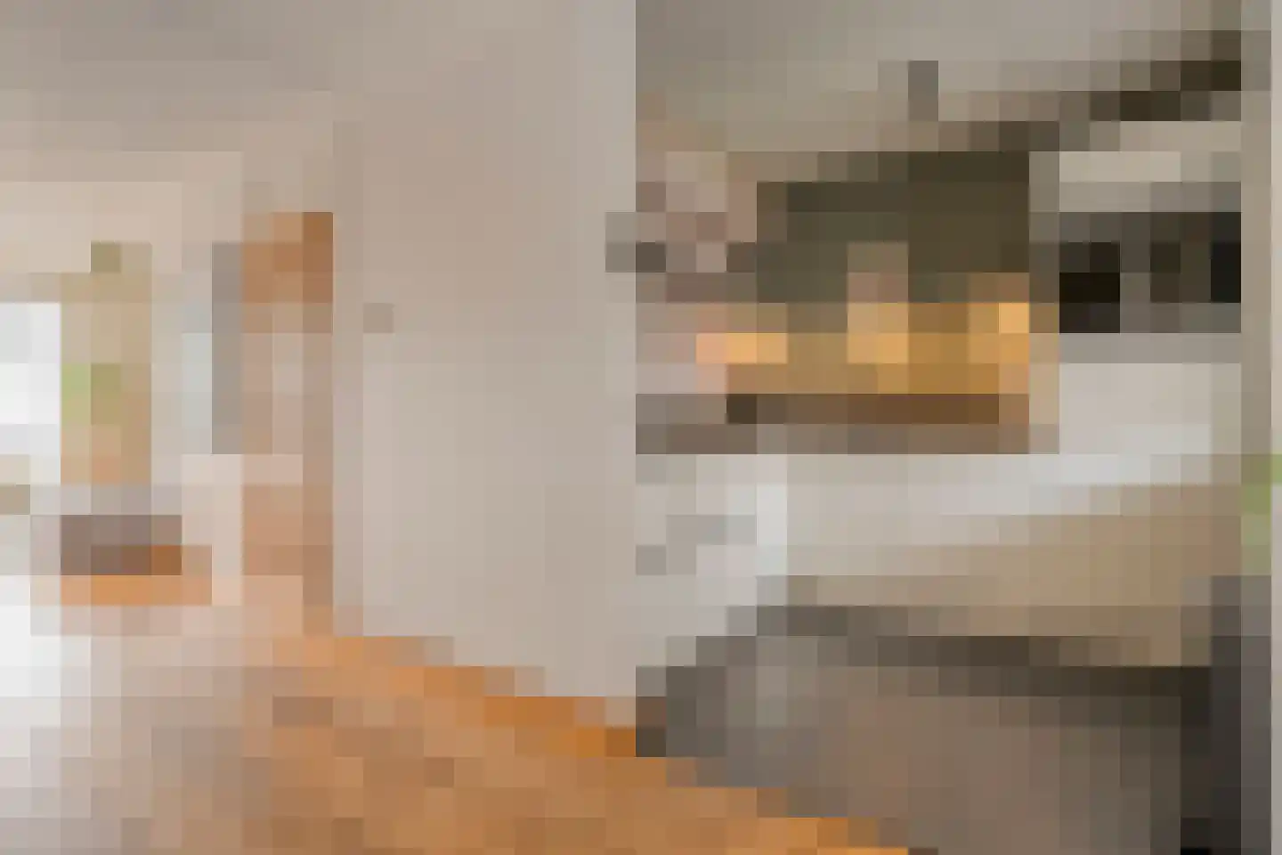 Van Laakstraat 23 Olst thumbnail 16