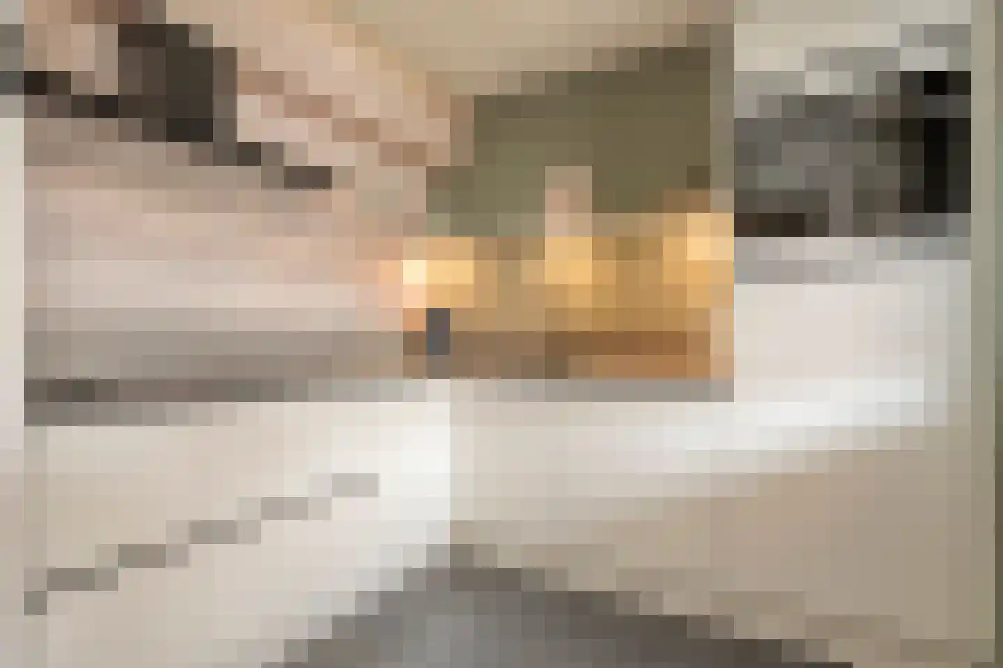 Van Laakstraat 23 Olst thumbnail 17