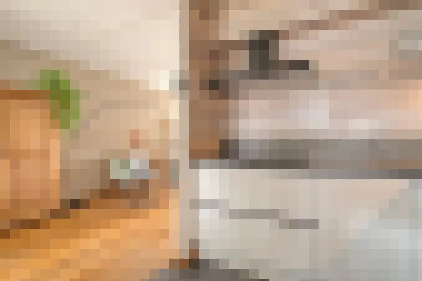 Van Laakstraat 23 Olst thumbnail 18