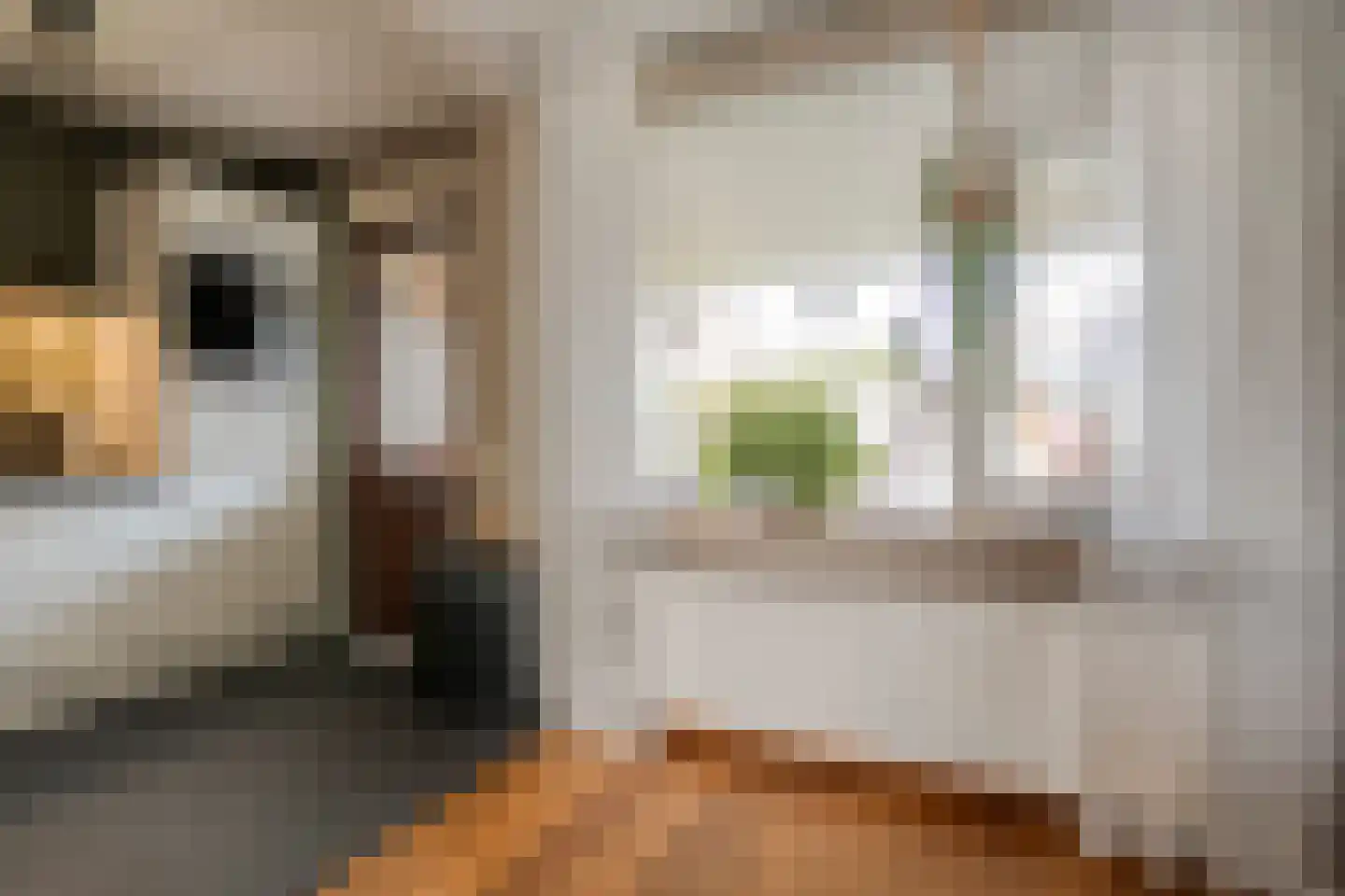 Van Laakstraat 23 Olst thumbnail 19