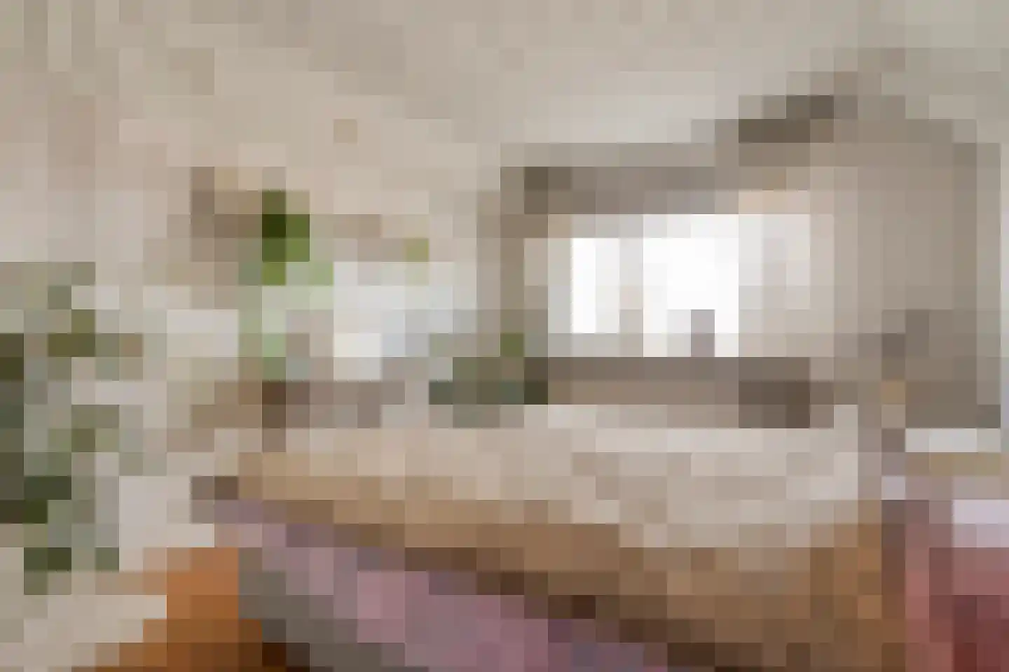 Van Laakstraat 23 Olst thumbnail 20