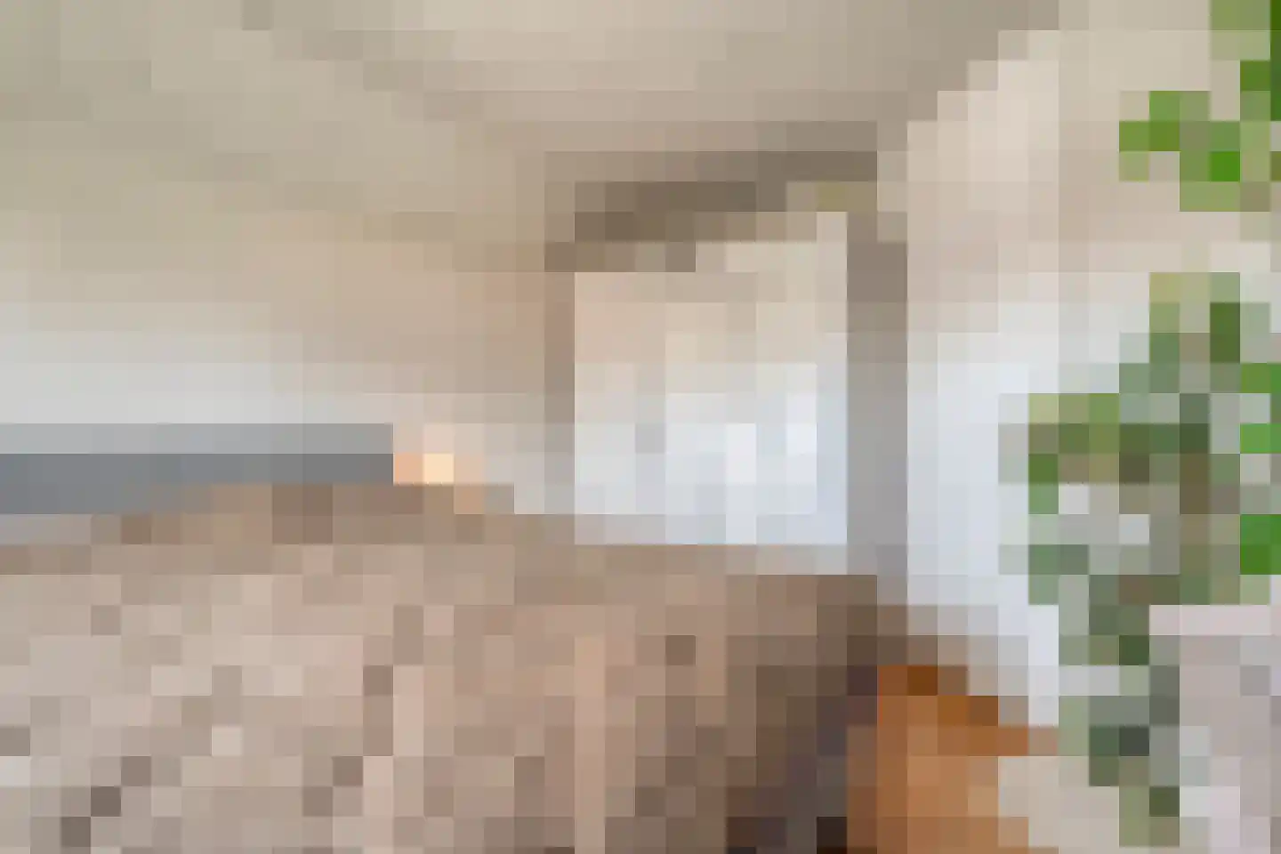 Van Laakstraat 23 Olst thumbnail 21