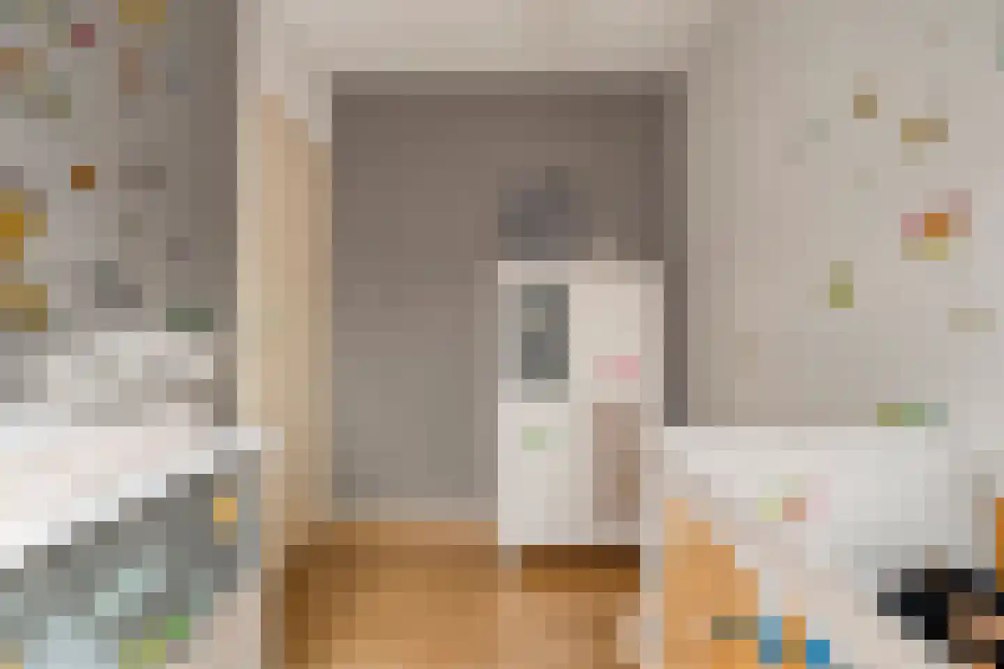 Van Laakstraat 23 Olst thumbnail 27