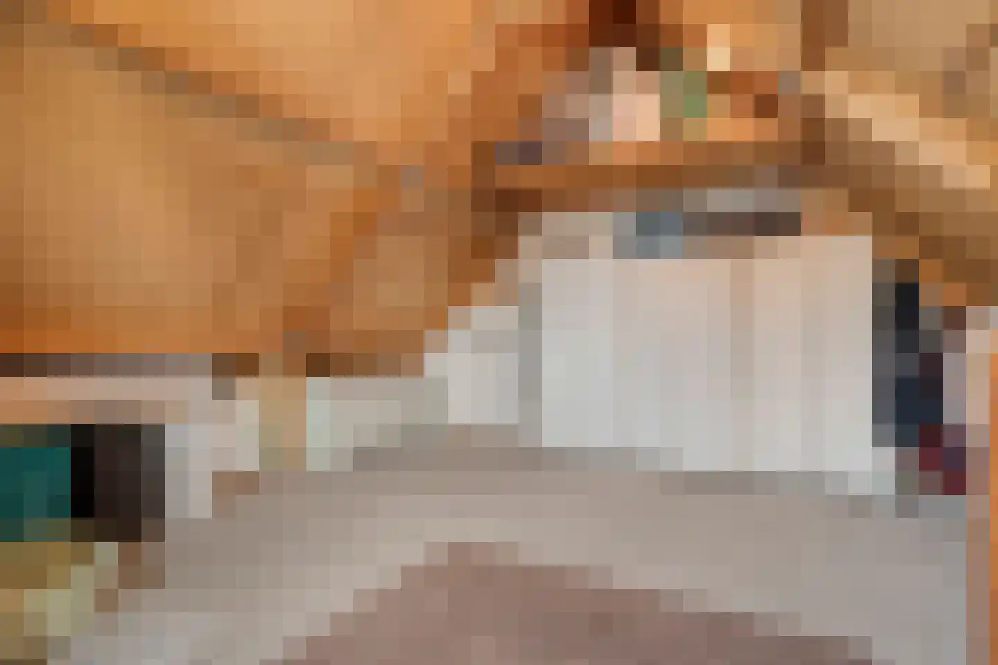 Van Laakstraat 23 Olst thumbnail 28