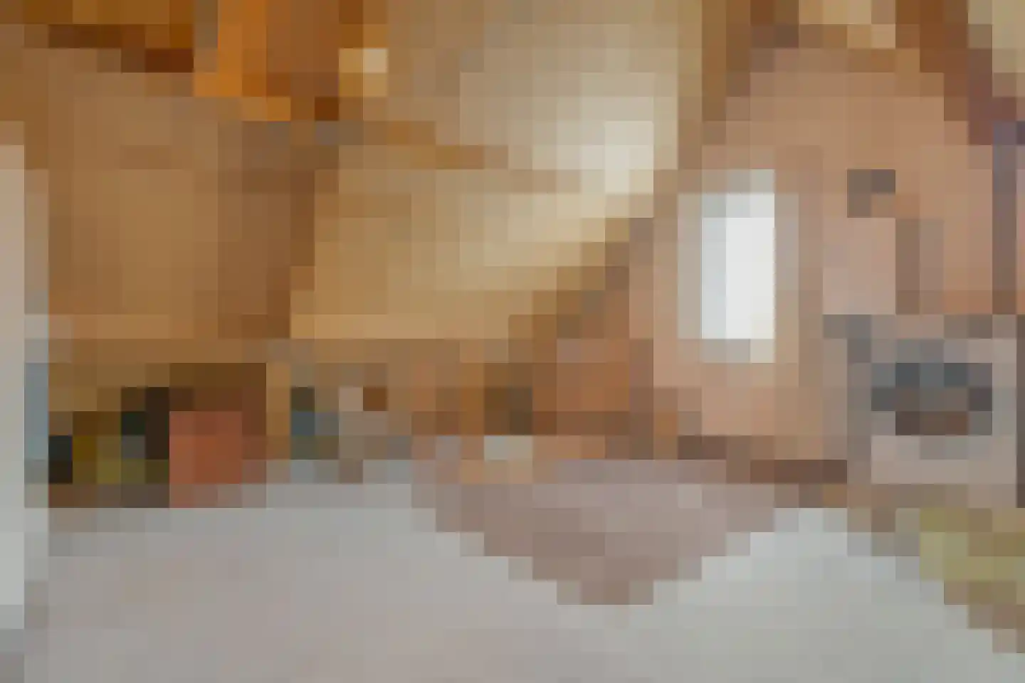 Van Laakstraat 23 Olst thumbnail 29