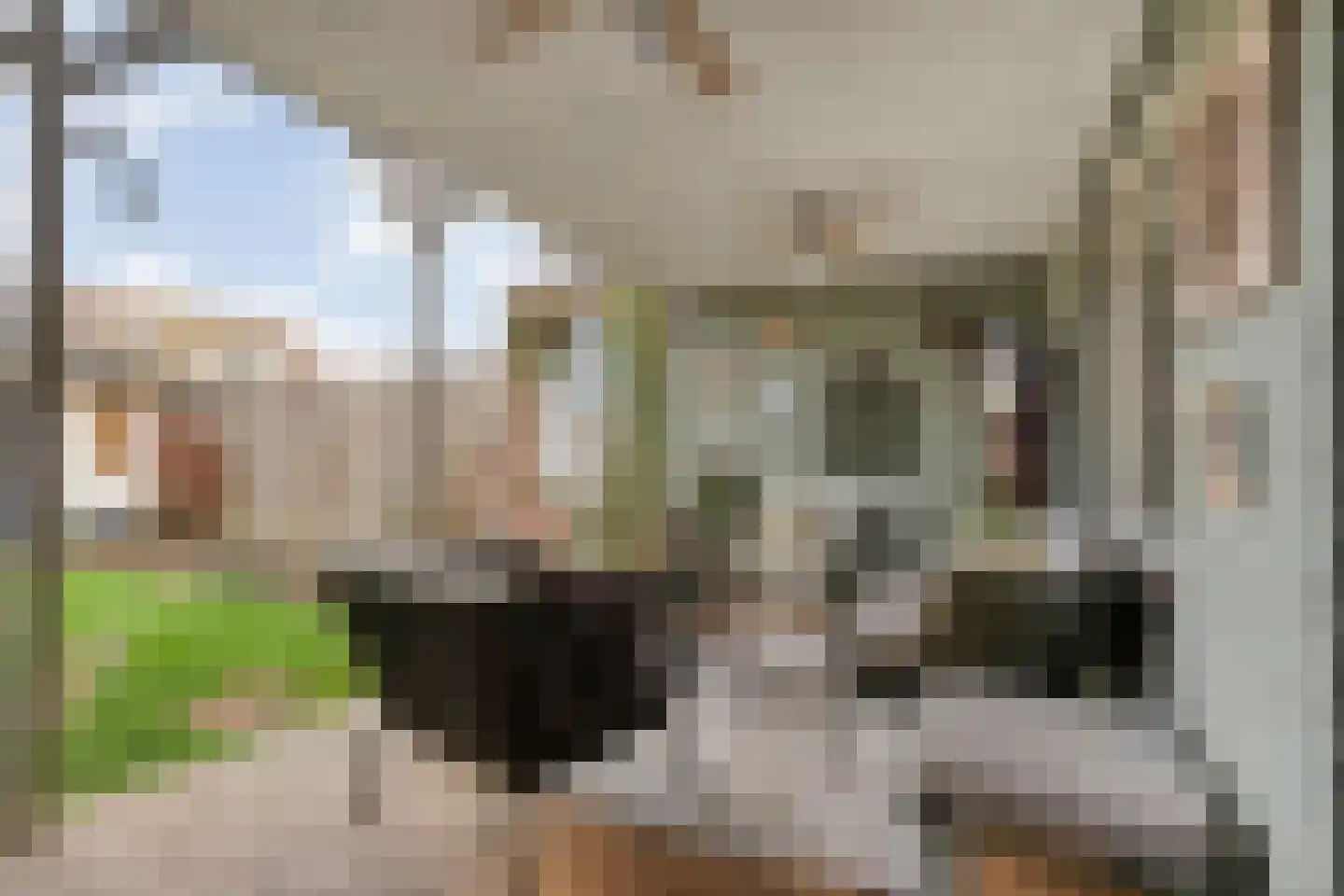 Van Laakstraat 23 Olst thumbnail 30
