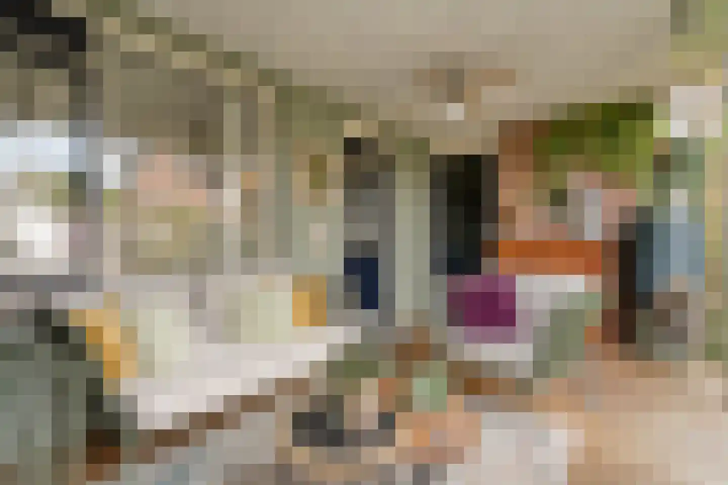 Van Laakstraat 23 Olst thumbnail 32