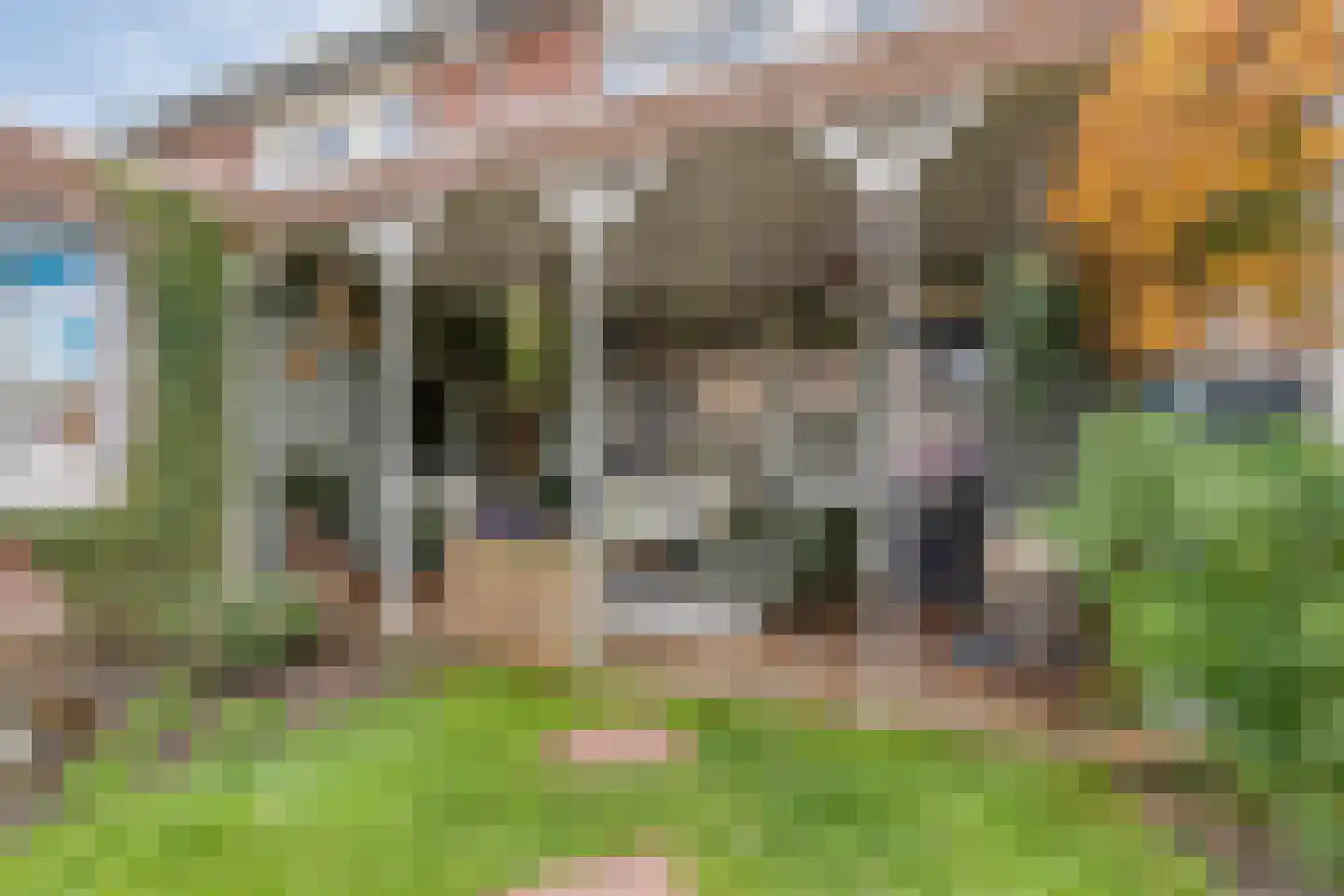 Van Laakstraat 23 Olst thumbnail 34