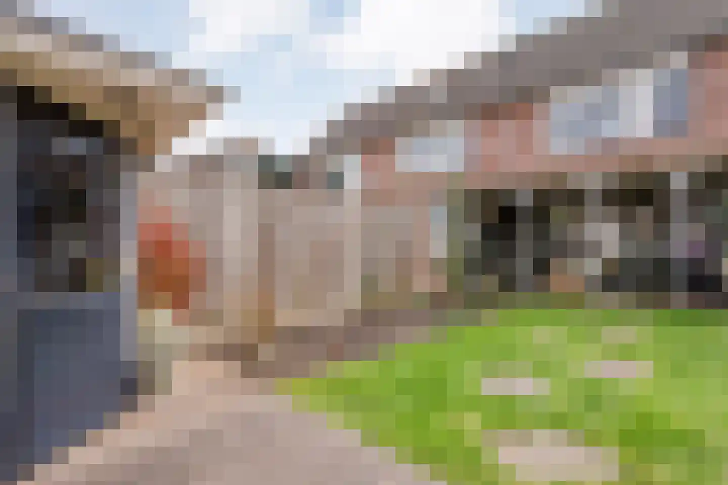 Van Laakstraat 23 Olst thumbnail 36