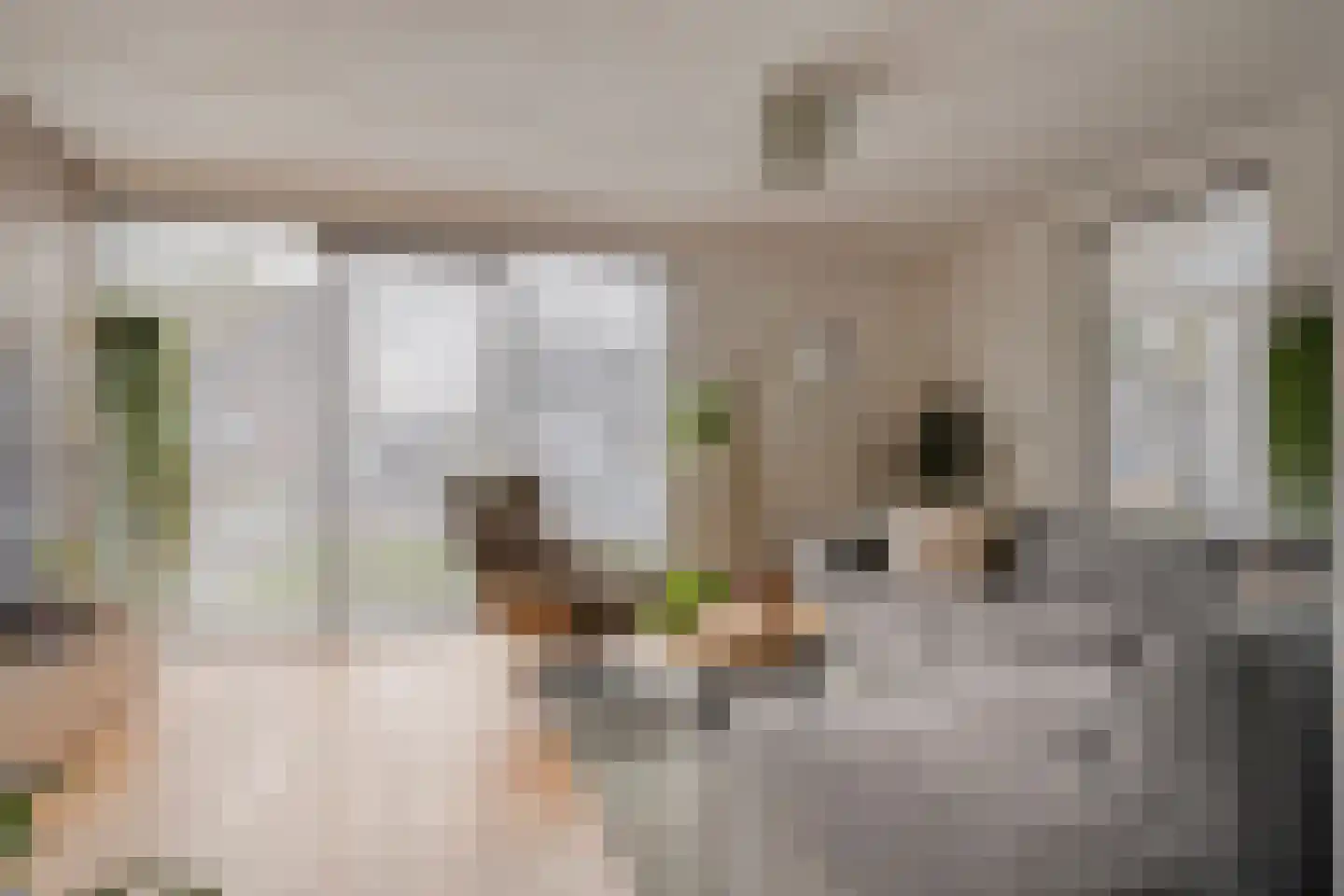 Van Laakstraat 23 Olst thumbnail 8