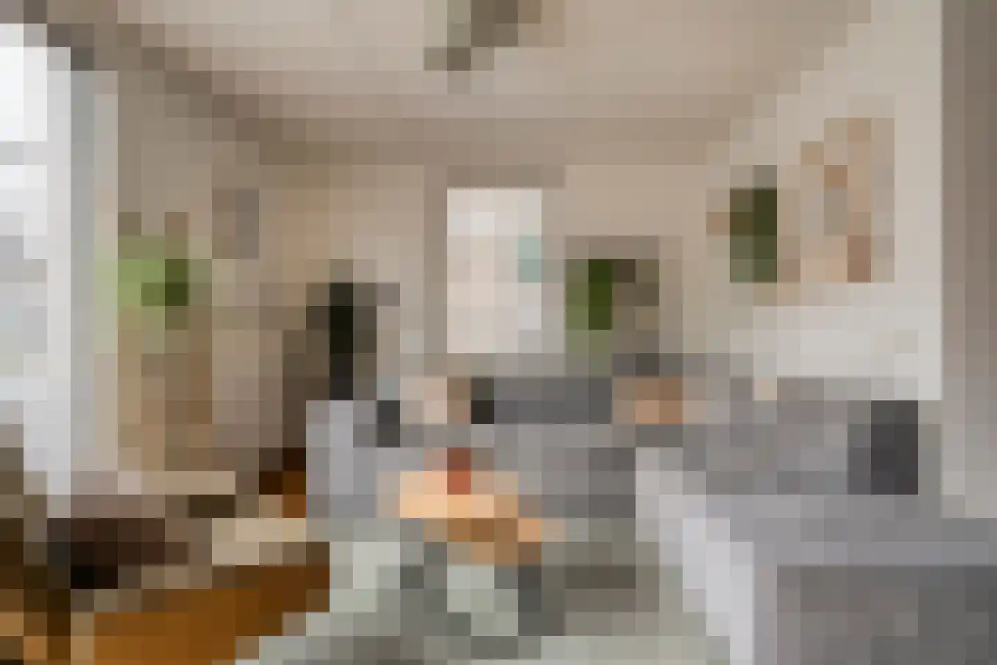 Van Laakstraat 23 Olst thumbnail 9