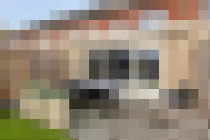 Van Laarstraat 18 Hardenberg thumbnail 29