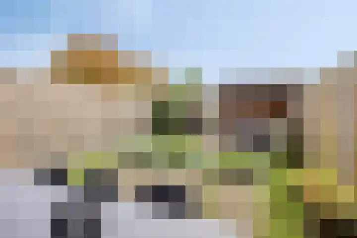 Van Laarstraat 18 Hardenberg thumbnail 30