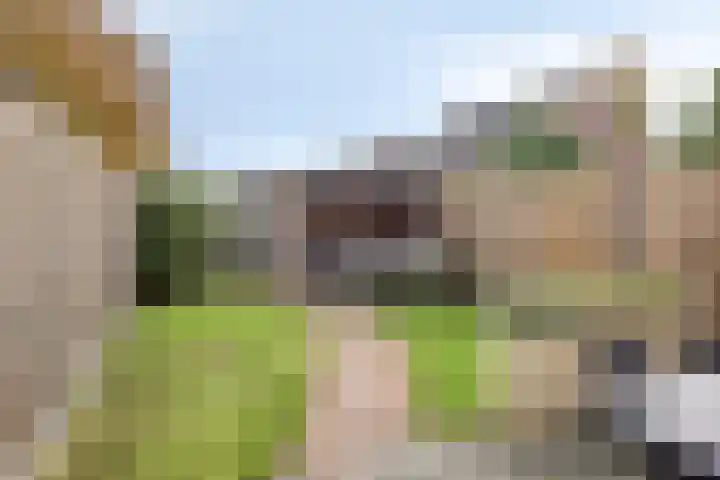 Van Laarstraat 18 Hardenberg thumbnail 31