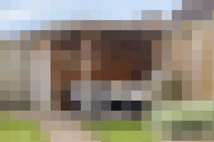 Van Laarstraat 18 Hardenberg thumbnail 32