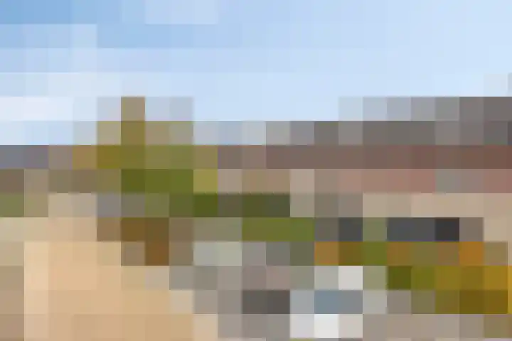 Van Laarstraat 18 Hardenberg thumbnail 35