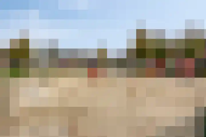 Van Laarstraat 18 Hardenberg thumbnail 37