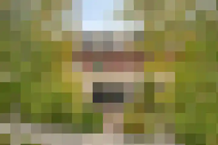Van Laarstraat 18 Hardenberg thumbnail 38
